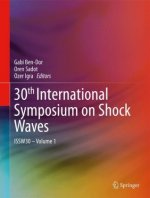 30th International Symposium on Shock Waves 1