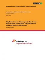 Möglichkeiten der Führung virtueller Teams. Theoretische Grundlagen, Erfolgsfaktoren und praktische Implikationen