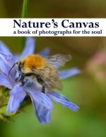 Natures Canvas A Book Of Photographs