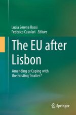 EU after Lisbon
