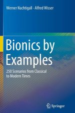 Bionics by Examples