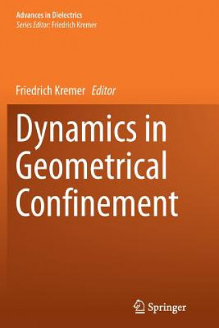 Dynamics in Geometrical Confinement