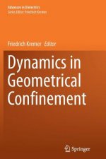 Dynamics in Geometrical Confinement