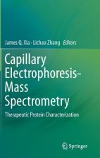 Capillary Electrophoresis-Mass Spectrometry