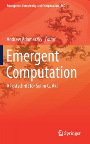 Emergent Computation