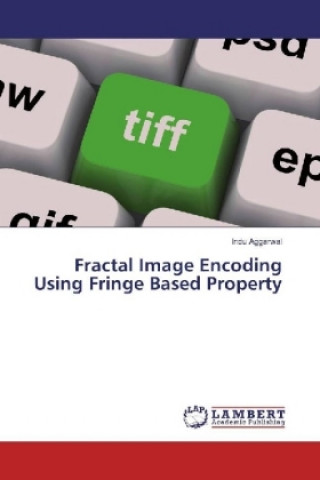 Fractal Image Encoding Using Fringe Based Property