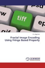Fractal Image Encoding Using Fringe Based Property
