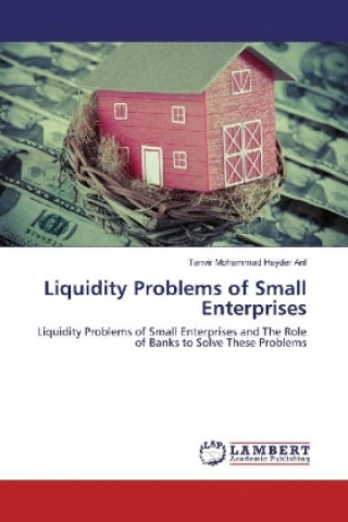 Liquidity Problems of Small Enterprises