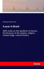 A year in Brazil