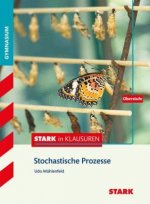 Stark in Mathematik - Prozesse und Matrizen Oberstufe