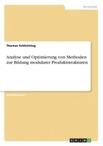 Analyse und Optimierung von Methoden zur Bildung modularer Produktstrukturen