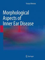 Morphological Aspects of Inner Ear Disease