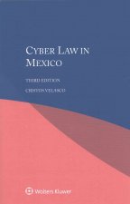 Cyber Law in Mexico