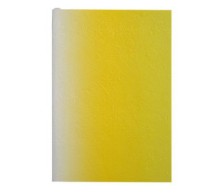 Christian Lacroix Neon Yellow A6 4.25