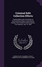 Criminal Debt Collection Efforts