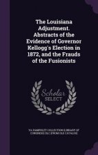 Louisiana Adjustment. Abstracts of the Evidence of Governor Kellogg's Election in 1872, and the Frauds of the Fusionists