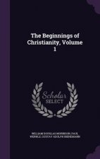 Beginnings of Christianity, Volume 1