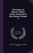 Letters of Marcus Tullius Cicero to Several of His Friends, Volume 3