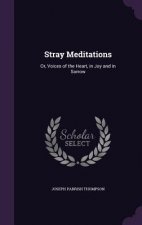 Stray Meditations
