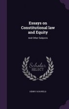 Essays on Constitutional Law and Equity