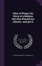 Glint of Wings; The Story of a Modern Girl Who Wanted Her Liberty--And Got It