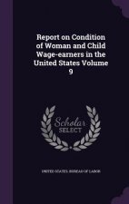 Report on Condition of Woman and Child Wage-Earners in the United States Volume 9