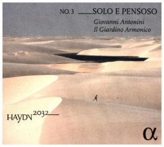 Haydn 2032 Vol.3-Solo e Pensoso