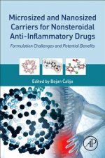Microsized and Nanosized Carriers for Nonsteroidal Anti-Inflammatory Drugs