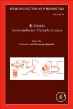 III-Nitride Semiconductor Optoelectronics