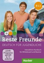 Beste Freunde B1/1. Interaktives Kursbuch für Whiteboard und Beamer - DVD-ROM