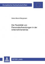 Flexibilitaet Von Personalaufwendungen in Der Unternehmenskrise