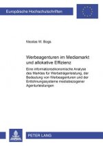 Werbeagenturen Im Mediamarkt Und Allokative Effizienz