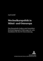 Wechselkurspolitik in Mittel- Und Osteuropa