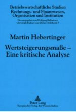 Wertsteigerungsmasse - Eine Kritische Analyse