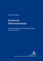 Praktische Phaenomenologie