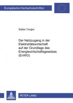 Netzzugang in Der Elektrizitaetswirtschaft Auf Der Grundlage Des Energiewirtschaftsgesetzes (Enwg)