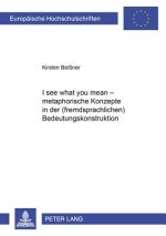 Â«I see what you meanÂ» - Metaphorische Konzepte in der (fremdsprachlichen) Bedeutungskonstruktion