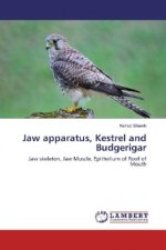 Jaw apparatus, Kestrel and Budgerigar
