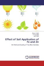 Effect of Soil Application of Fe and Zn