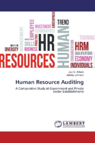 Human Resource Auditing