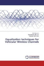 Equalization techniques for Vehicular Wireless Channels