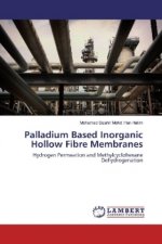 Palladium Based Inorganic Hollow Fibre Membranes