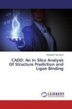 CADD: An In Silco Analysis Of Structure Prediction and Ligan Binding