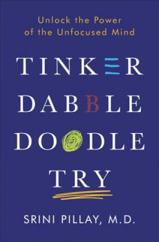 Tinker Dabble Doodle Try (Srini Pillay,Neurobusiness Group LLC)(Pevná)
