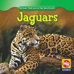 Jaguars