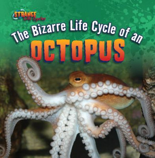 The Bizarre Life Cycle of an Octopus