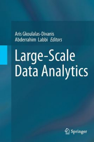 Large-Scale Data Analytics