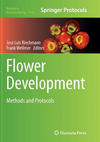 Flower Development