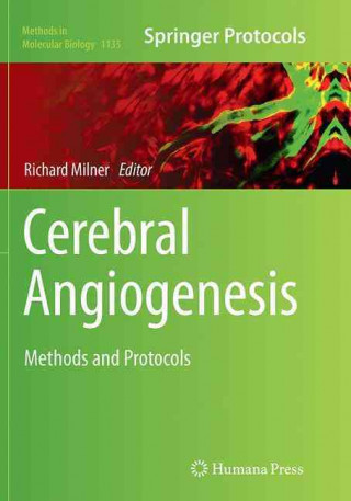 Cerebral Angiogenesis