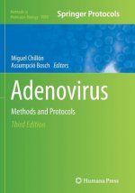 Adenovirus